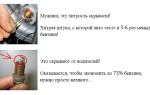 Мотоблок Патриот Волга технические характеристики, цена, отзывы владельцев и навесное оборудование