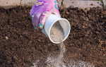 Какие удобрения необходимо вносить весной на даче для подкормки почвы, виды и польза удобрений
