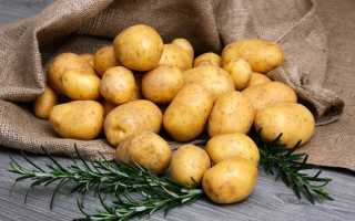 Удобрения для картофеля при посадке: какое лучше вносить, чем удобрять?