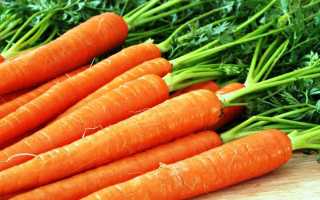14 сорта моркови для зимнего хранения: среднеспелые, поздние, ранние, крупные