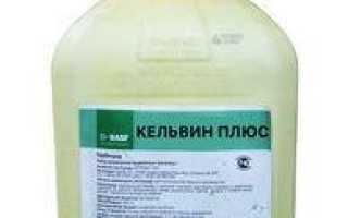 гербицид Кельвин Плюс от компании BASF
