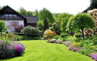 Порядок оформления дачного садового участка в собственность